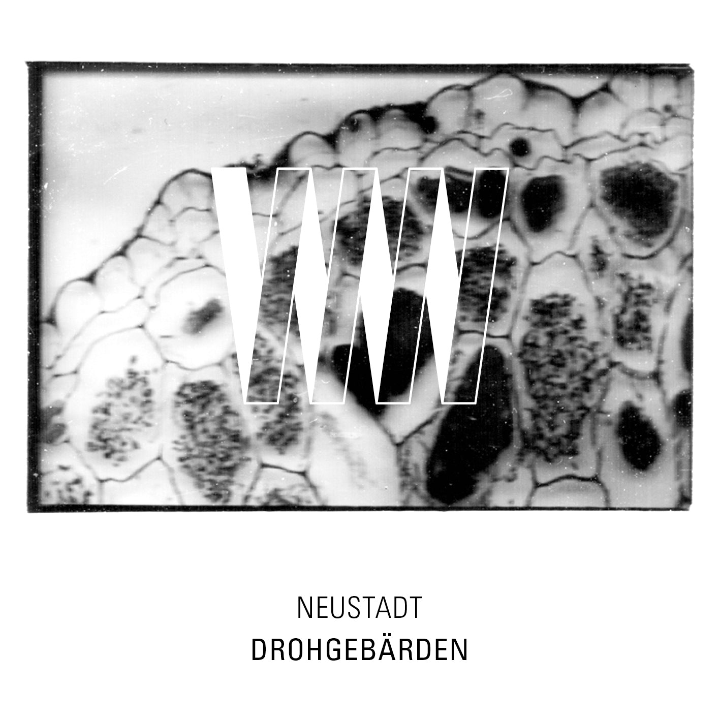 Neustadt - Drohgebärden