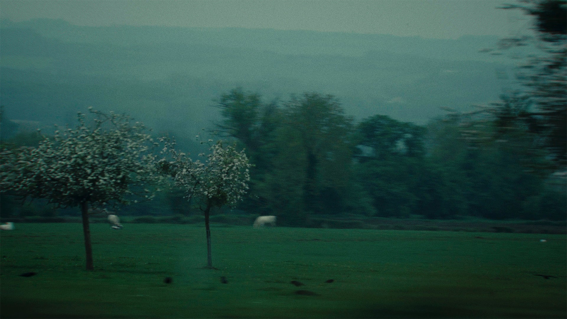 Julian Knoth - Kein Lied (Official Music Video)